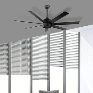 Ceiling Fans