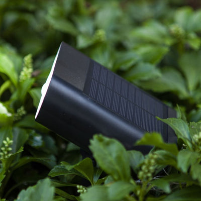 Lutec Ginbo Solar ground light showing side view of the solar panel, positioned in a garden border