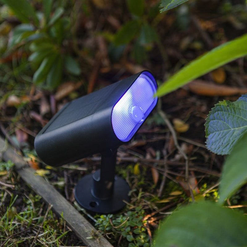 Lutec Ginbo Solar ground light emitting blue light positioned in a garden border