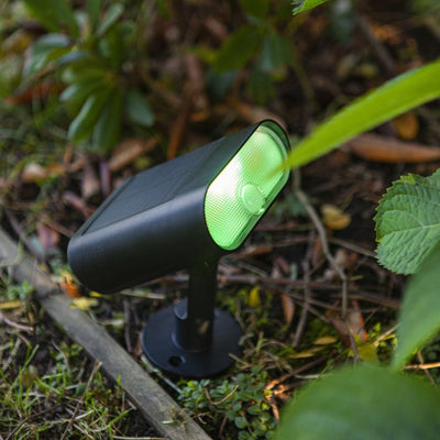 Lutec Ginbo Solar ground light emitting green light positioned in a garden border