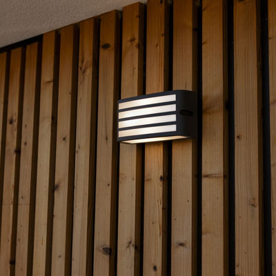 Zebra Contemporary Outdoor Wall Light