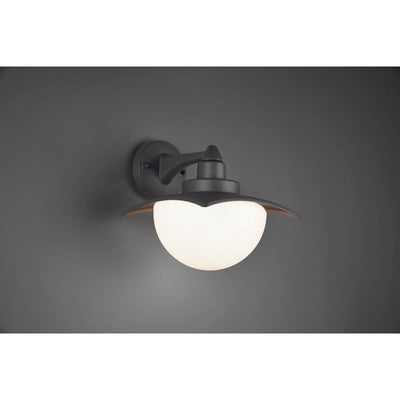 Trio Donez Anthracite Wall Lamp - 204960142