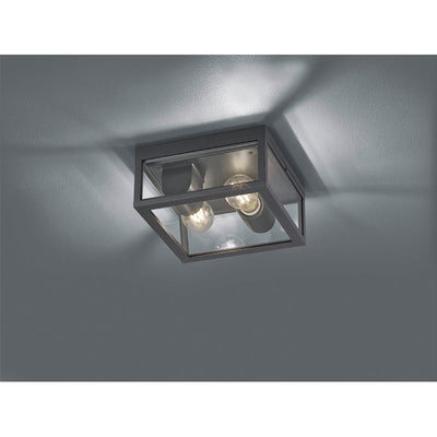 Trio Garonne Ceiling Lamp - 601860242