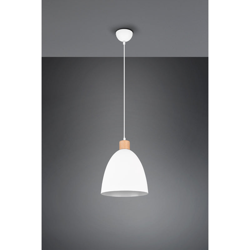 Trio Jagger Pendant - R30681031