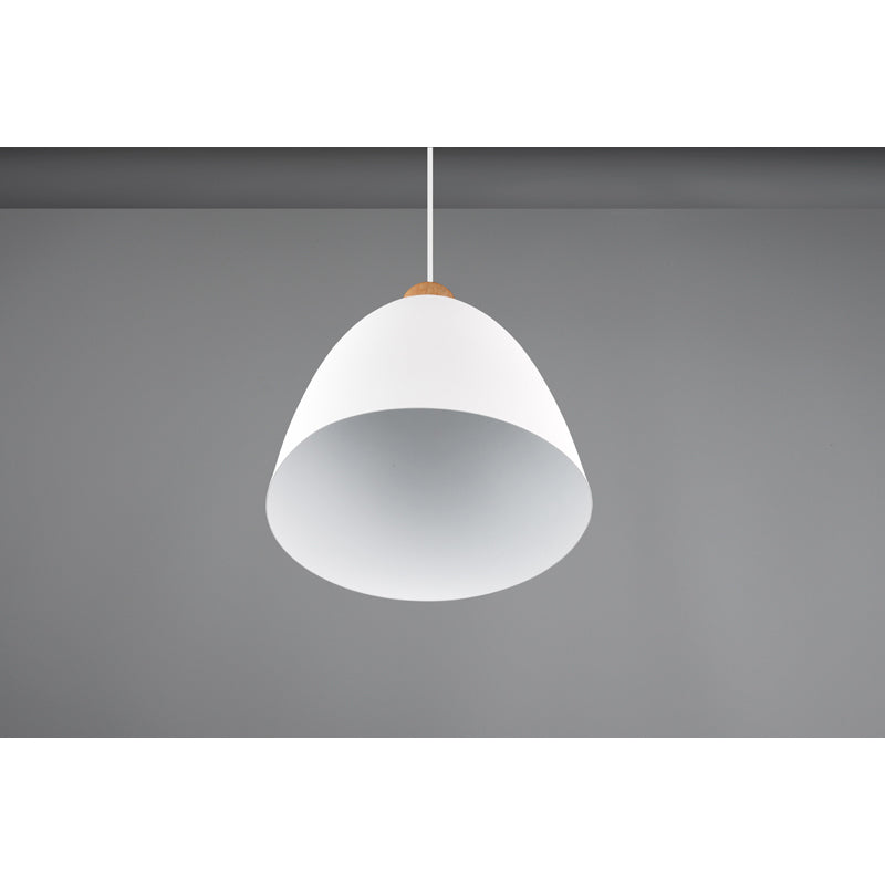 Trio Jagger Pendant - R30681031